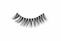 Pair of false eyelashes on a white tray with '817' printed on it against a black background.